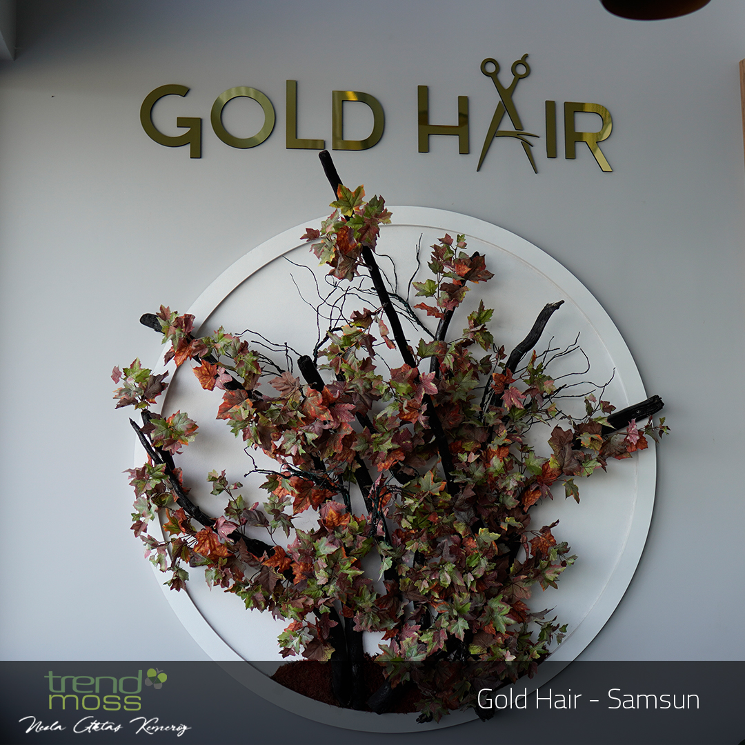 GOLD HAIR  - SAMSUN